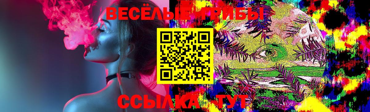 Галлюциногенные грибы Psilocybe  Вход с VPN  Десногорск 